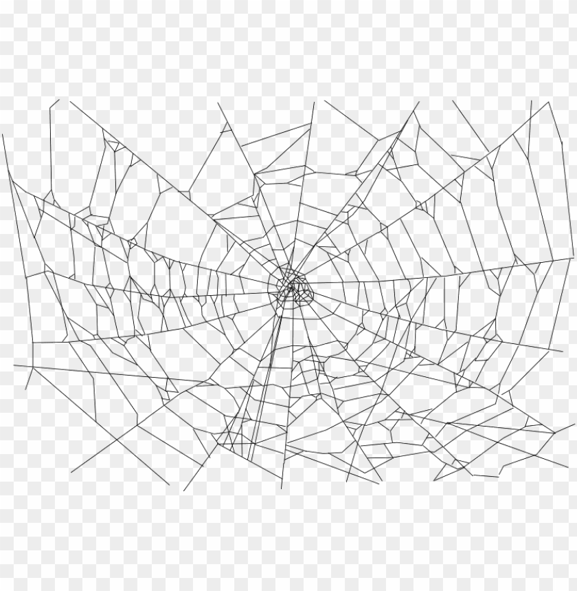 Spider Web PNG Transparent Background