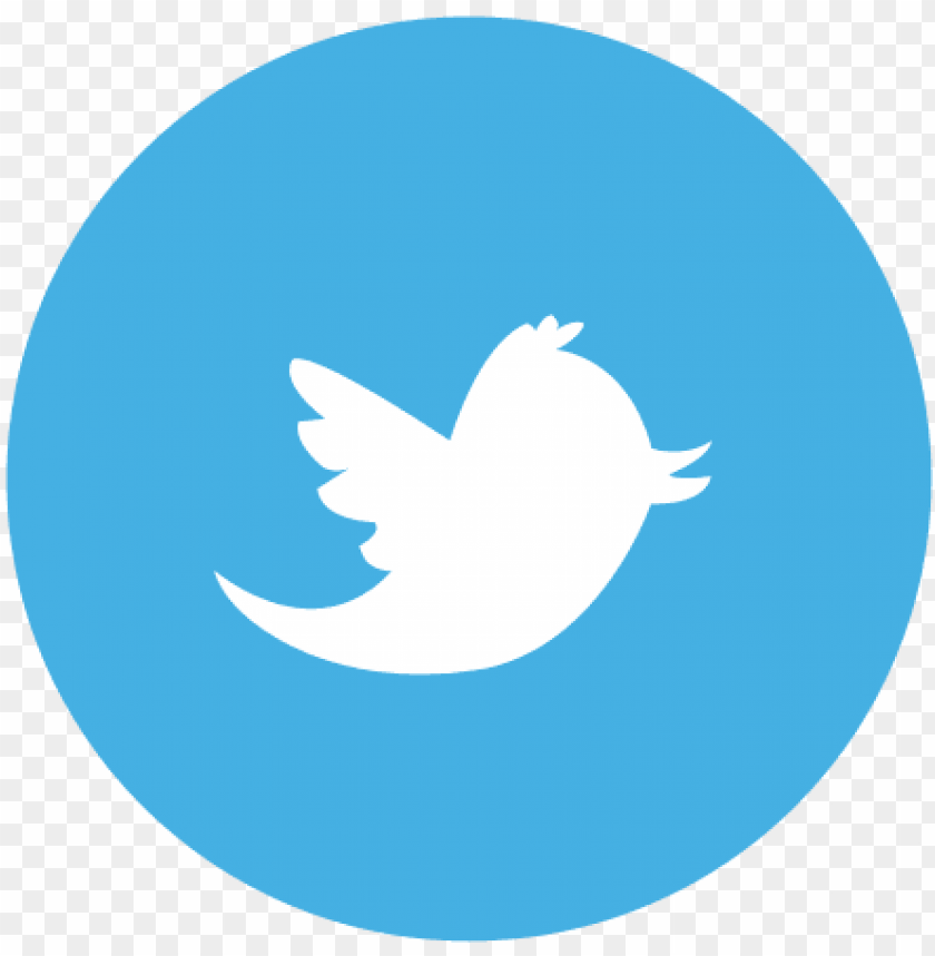 Transparent Background Twitter Logo Png Image With Transparent Background Toppng