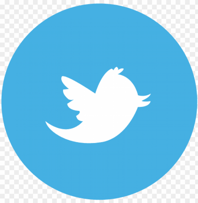 twitter bird logo, logo instagram facebook twitter, facebook instagram twitter, twitter, twitter logo white, facebook twitter logo