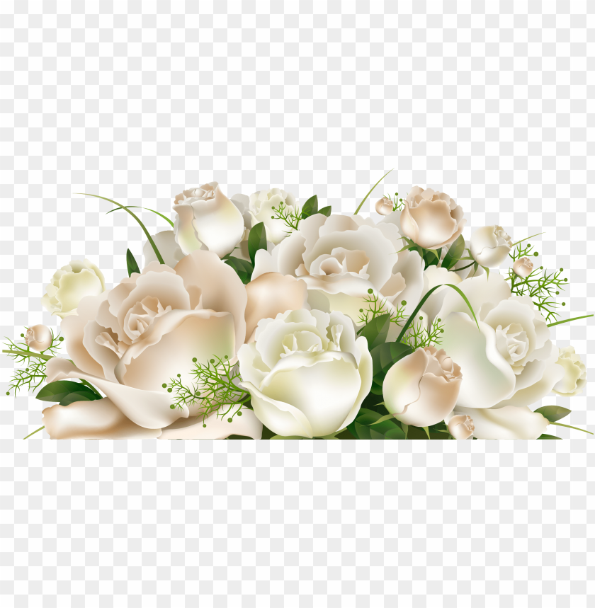 Background White Rose gambar ke 20