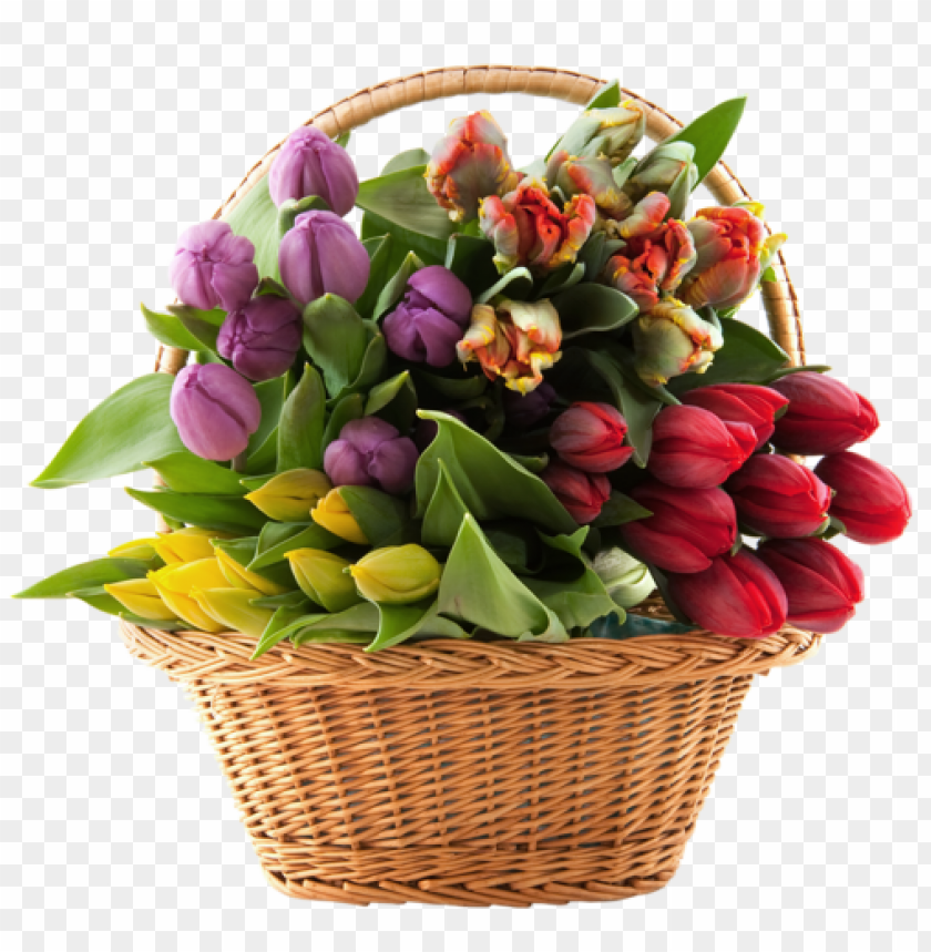 transparent basket with tulips