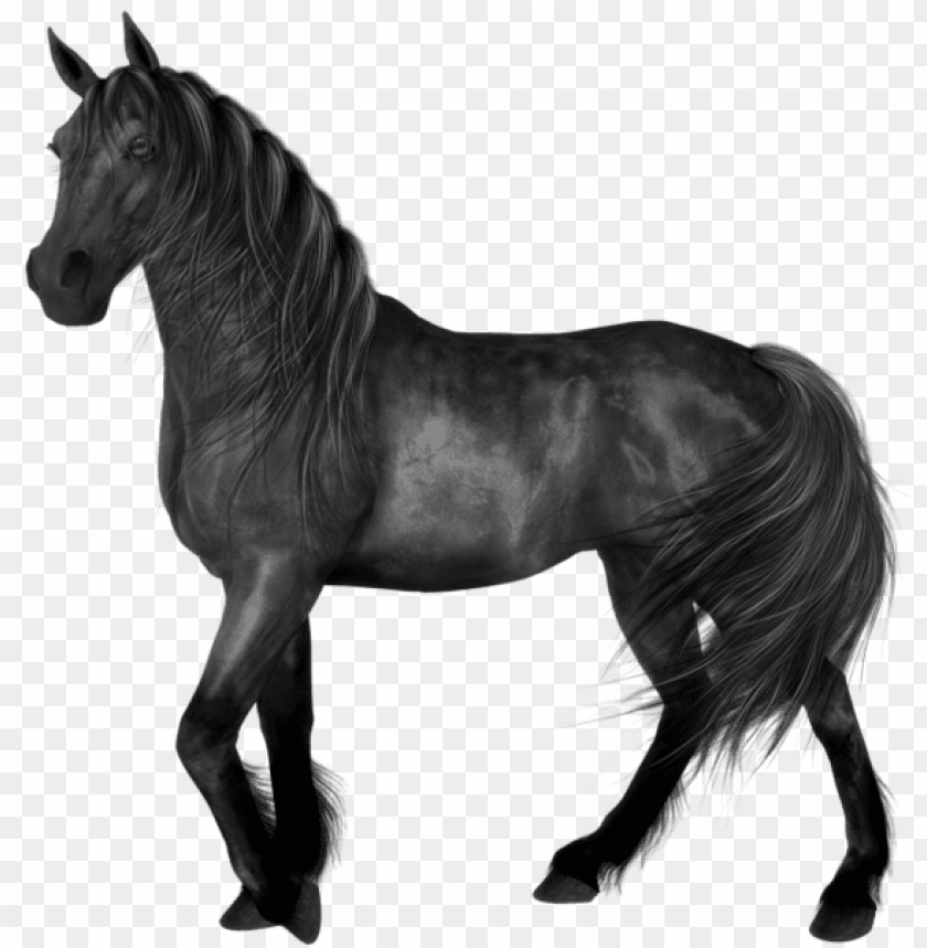 transparent black horse png images background - Image ID 47115