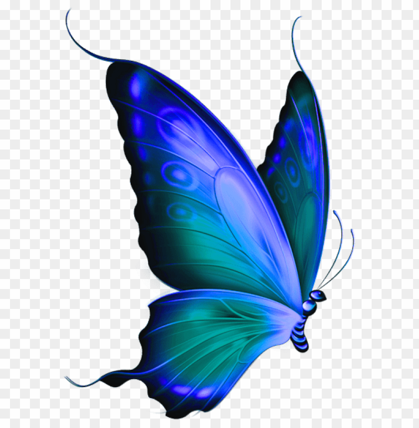 blue butterfly transparent background