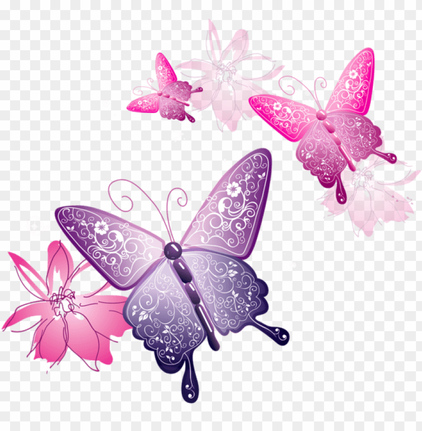 butterflies ,butterfly ,moth ,tortoiseshell