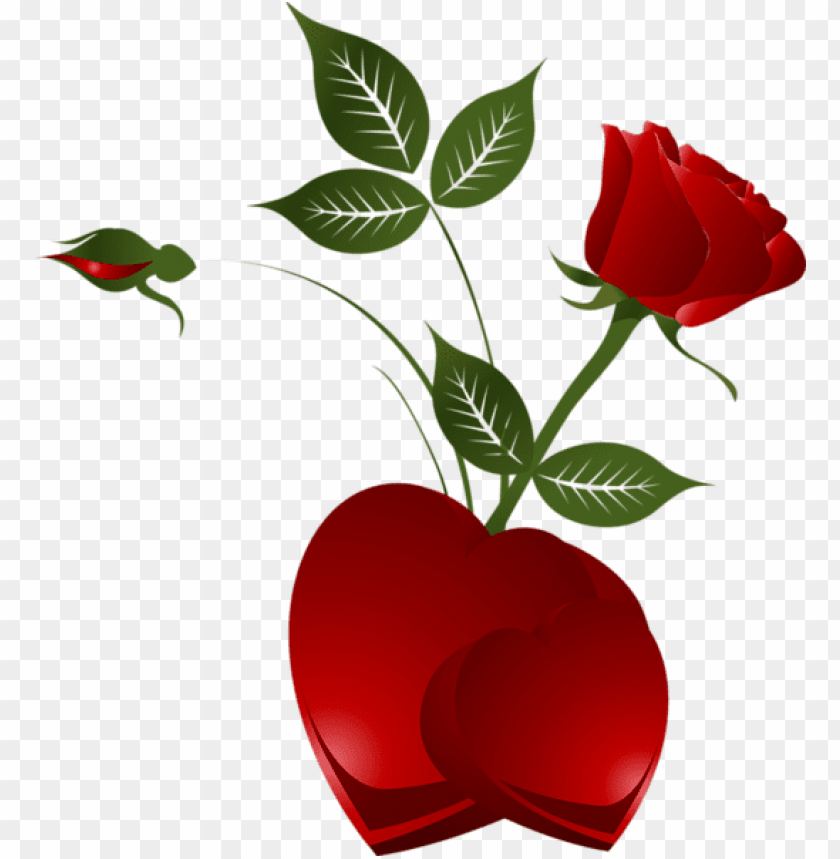 transparent decorative element red rose with heart