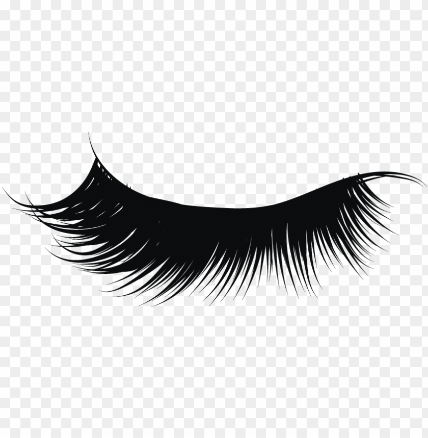 transparent download eyelashes clipart png eyelash png image with transparent background toppng transparent download eyelashes clipart