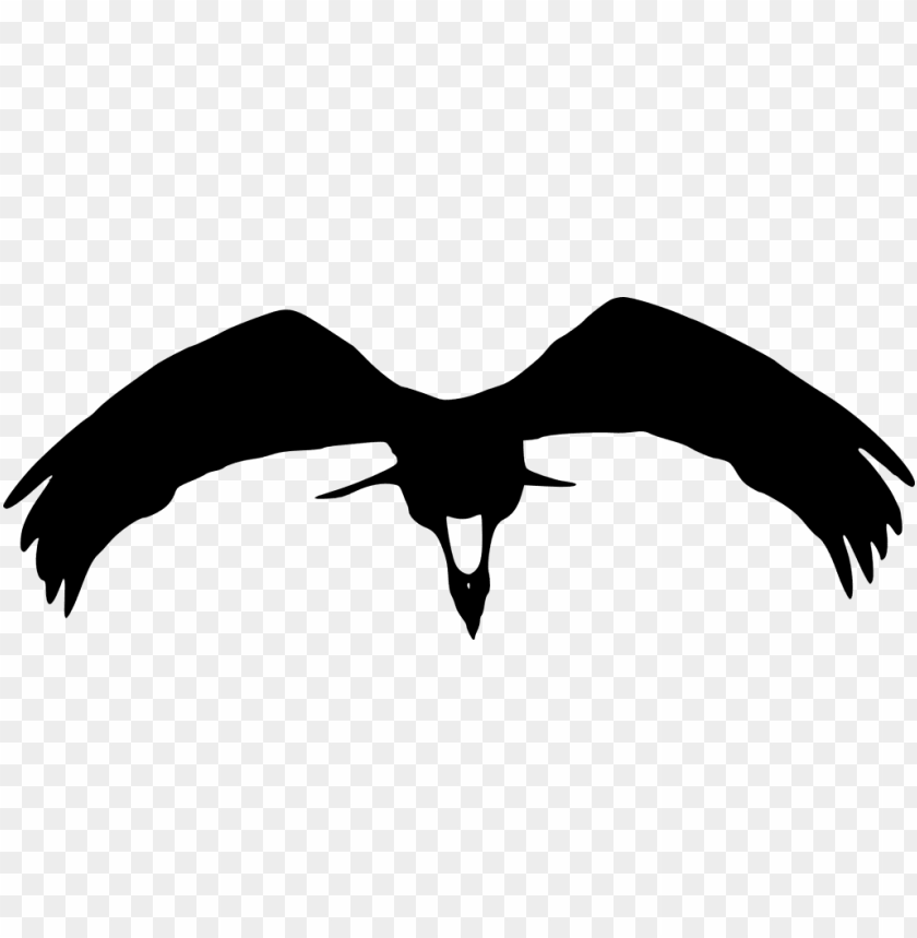 bald eagle, phoenix bird, twitter bird logo, big bird, american eagle, eagle globe and anchor