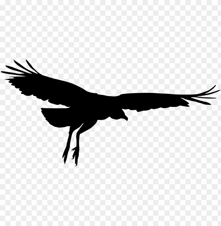 bald eagle, wing, american eagle, eagle globe and anchor, eagle silhouette, x-wing