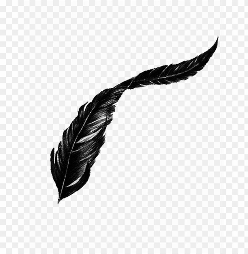 feather silhouette, feather vector, indian feather, feather drawing, feather, feather pen
