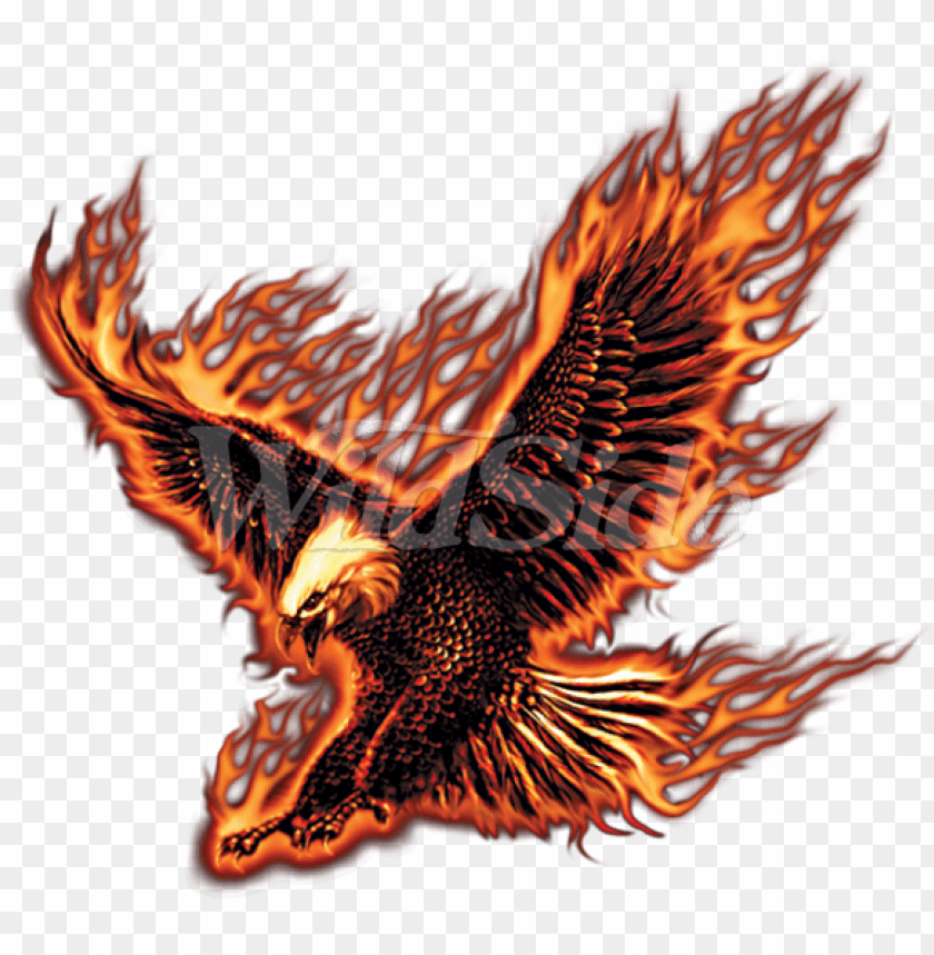 Fire eagle HD wallpapers  Pxfuel