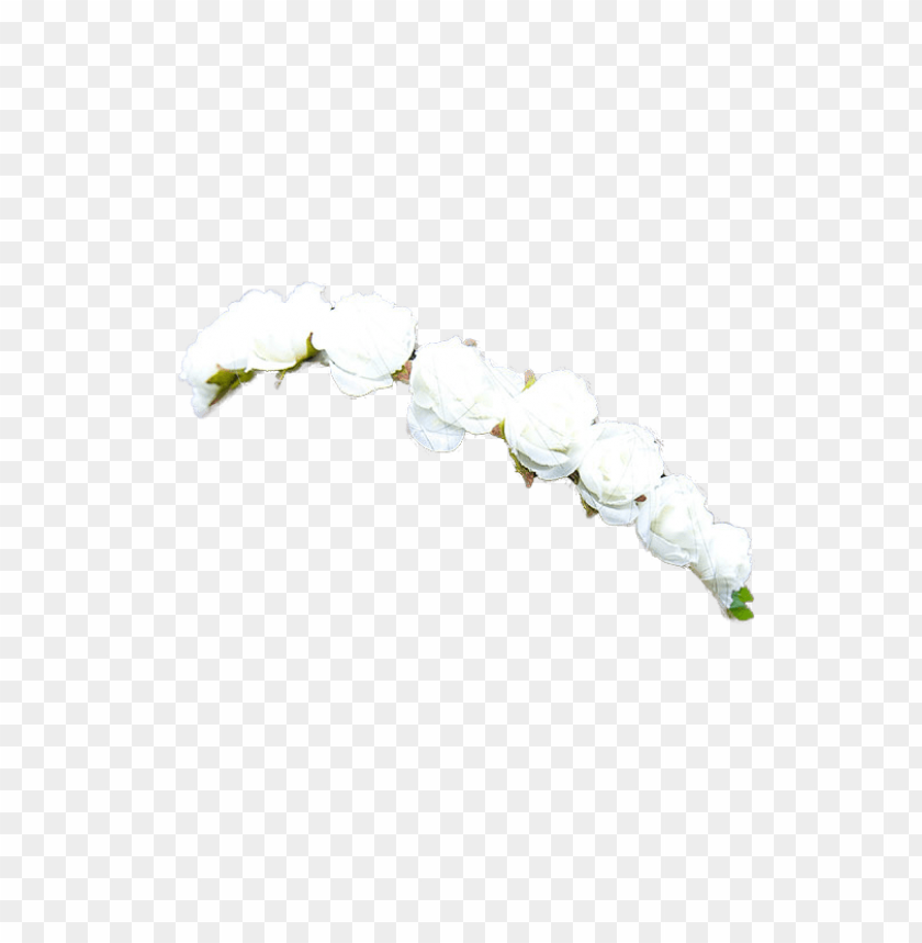 transparent flower crown png PNG transparent with Clear Background ID 113690
