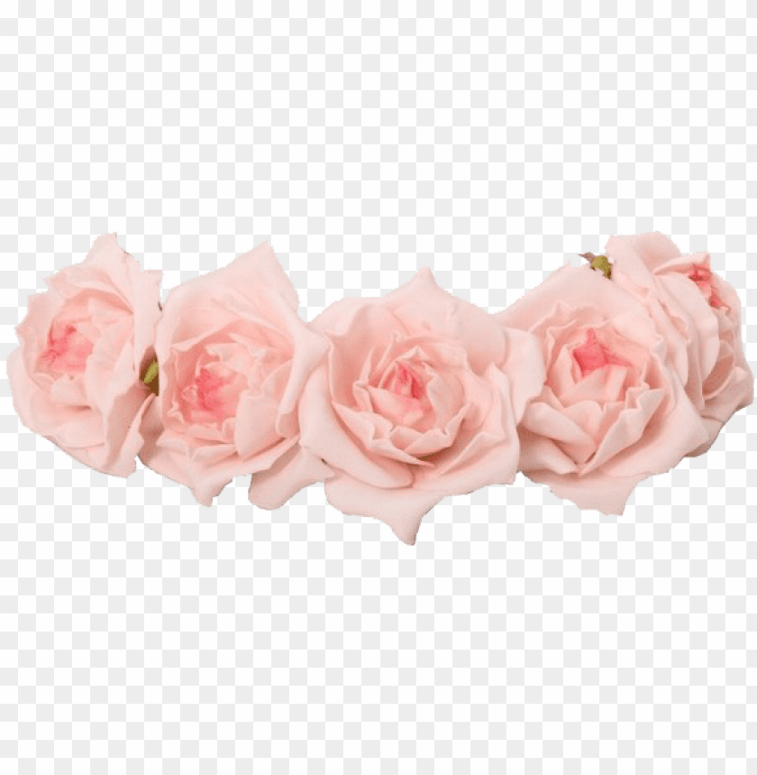 Transparent Flower Crown Png Pink Flower Crown Transparent Png Image With Transparent Background Toppng