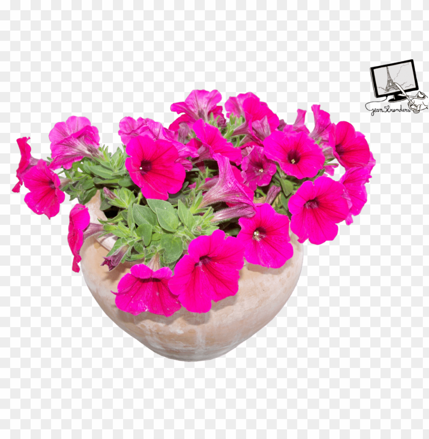 transparent flower pot, flower,pot,transpar,transparent