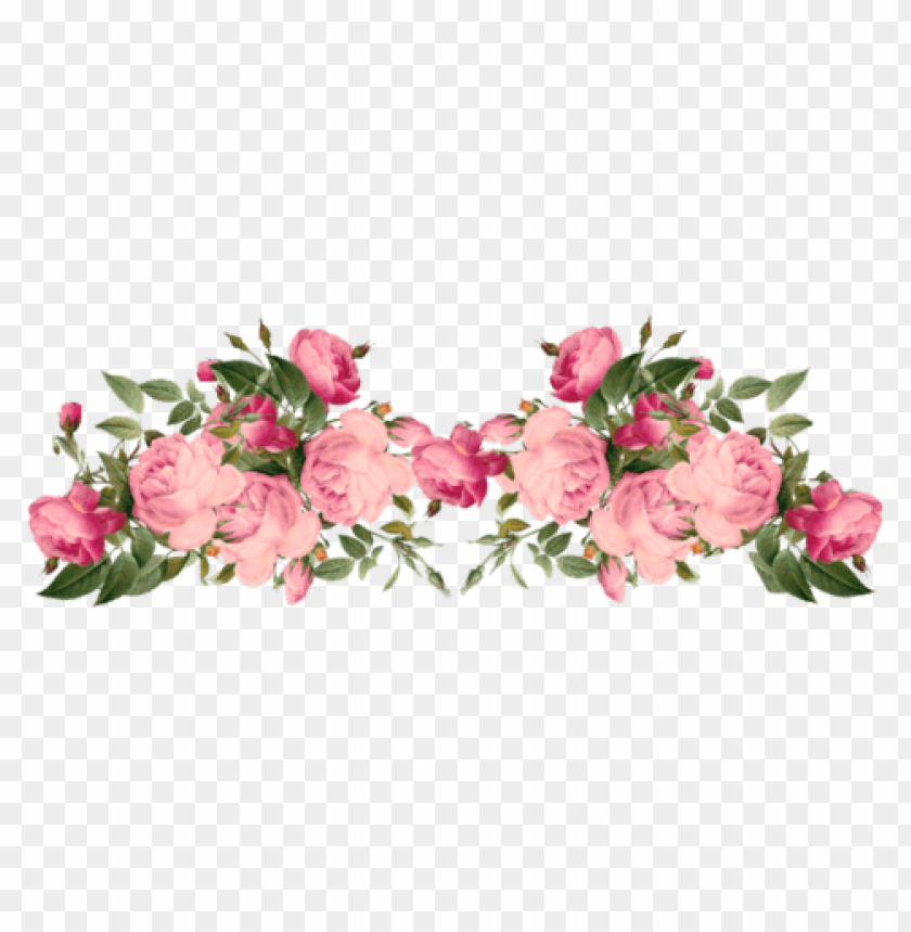 flowers png tumblr