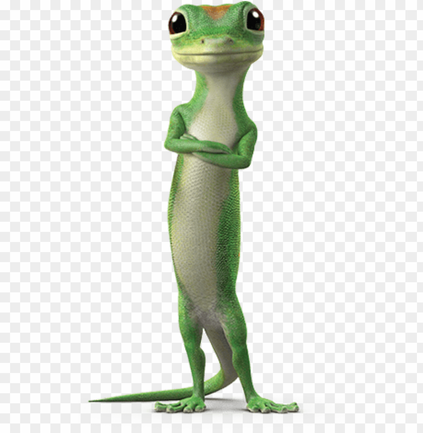 transparent gecko lizard geico - auto insurance landing pages PNG ...