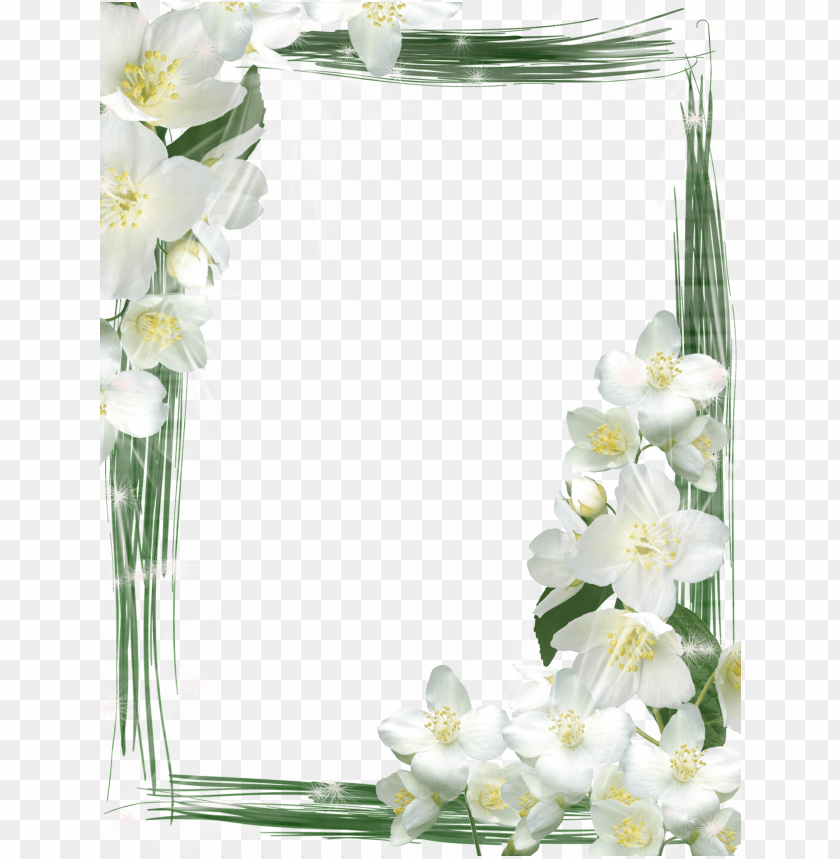 transparent green frame with white flowers background best stock photos |  TOPpng
