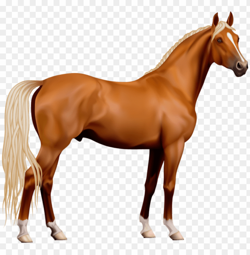 Horse Png Transparent Background Horse Illustration Illustration