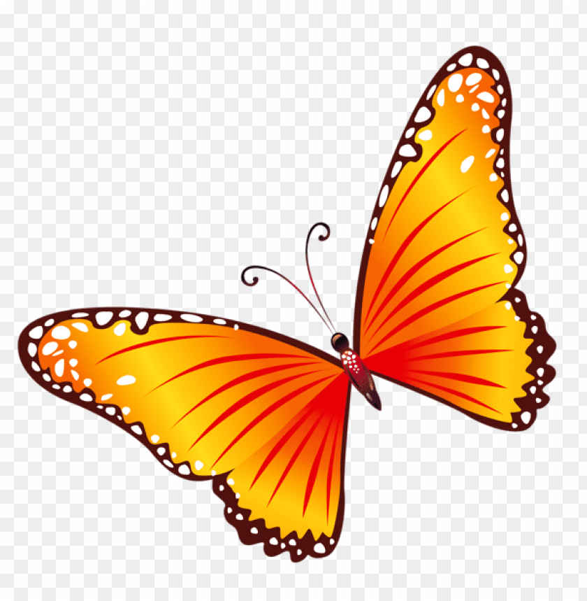Download transparent orange butterfly clipart png photo | TOPpng