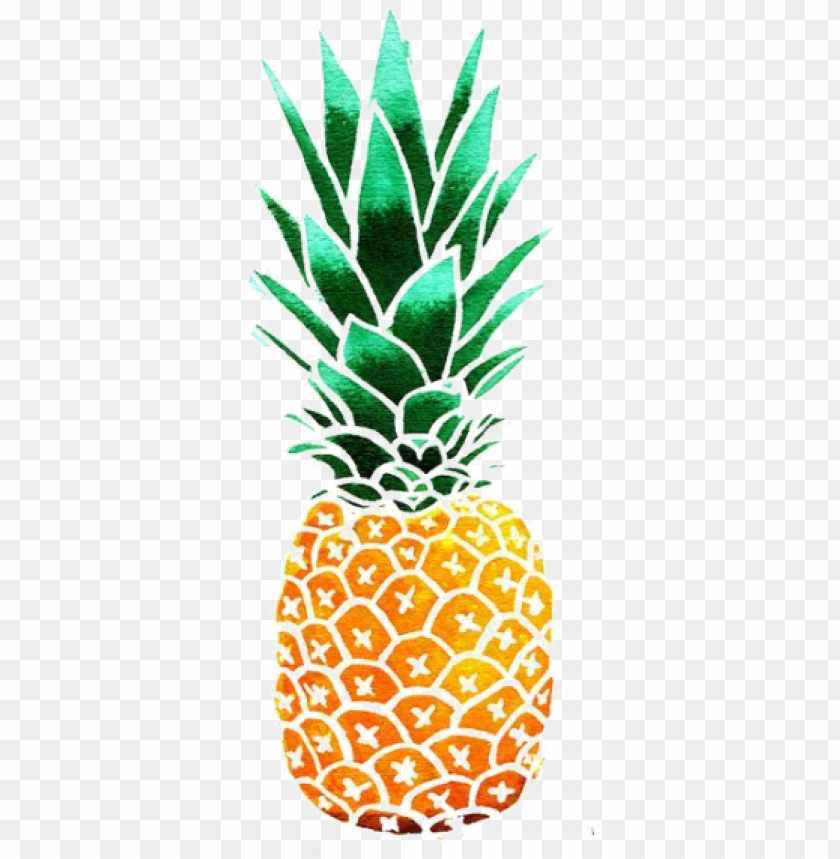 background, drawing, facebook, decoration, ananas, isolated, twitter