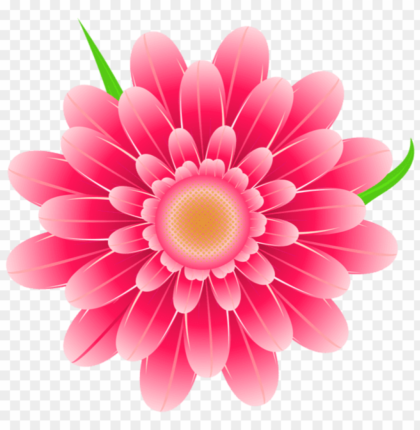 transparent pink flower