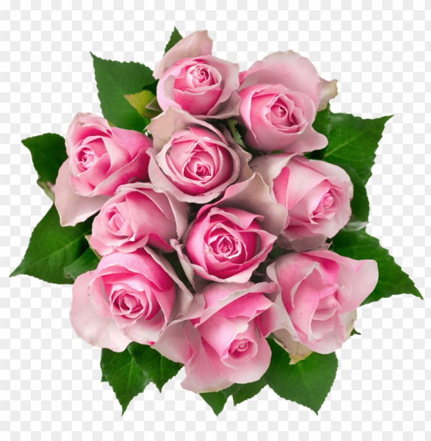 transparent pink roses bouquetpicture