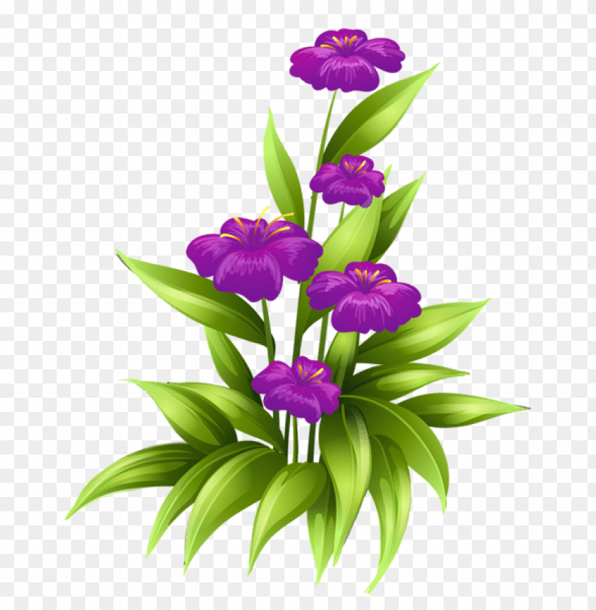 transparent purple flowerspicture