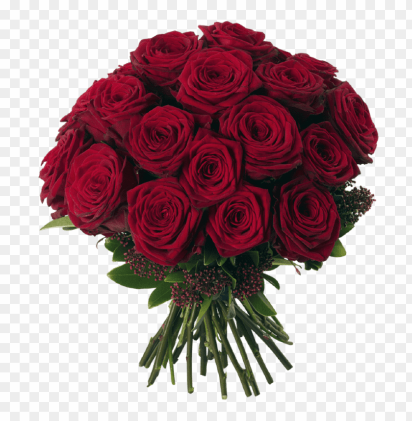 transparent red roses bouquetpicture