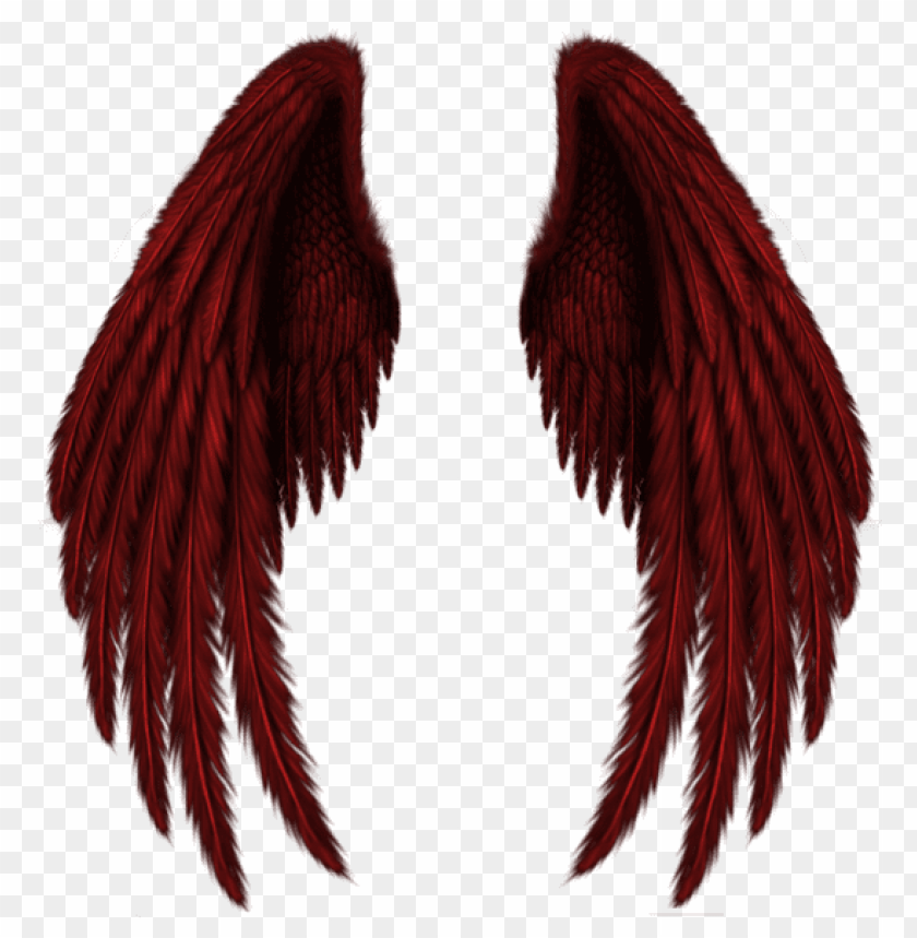 transparent red wingspicture