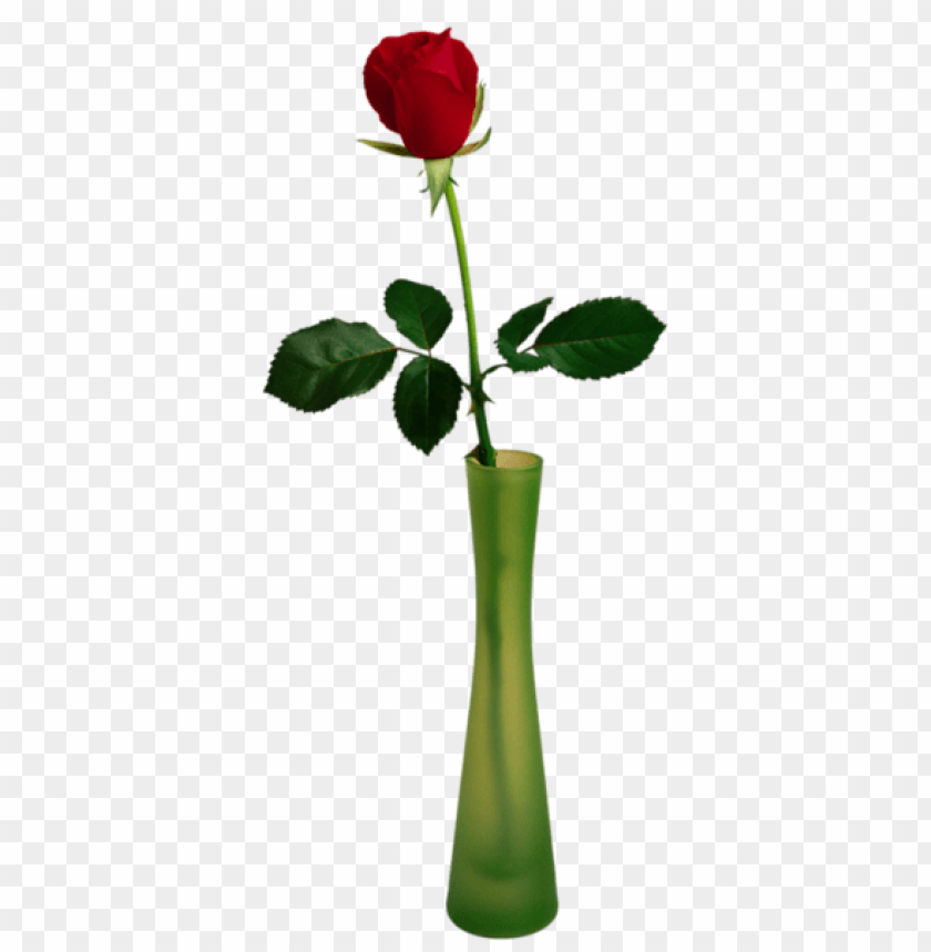 transparent rose in vase picture
