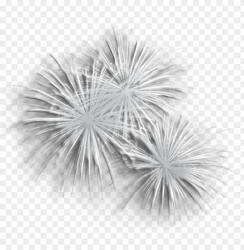 transparent silver fireworks