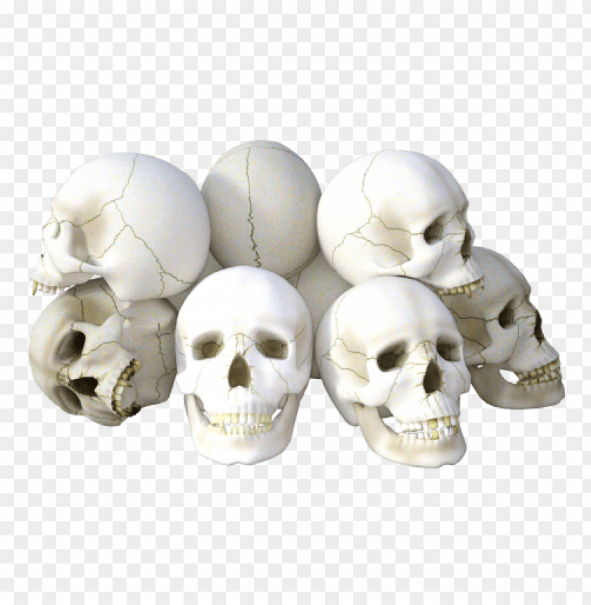 transparent skull
