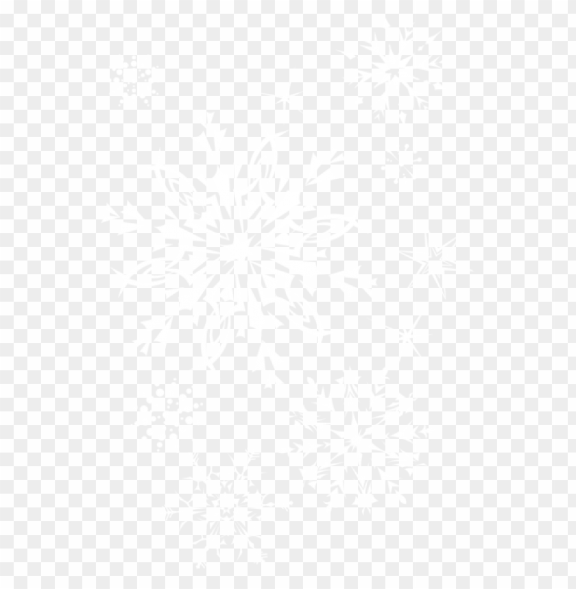 transparent snowflakes picture