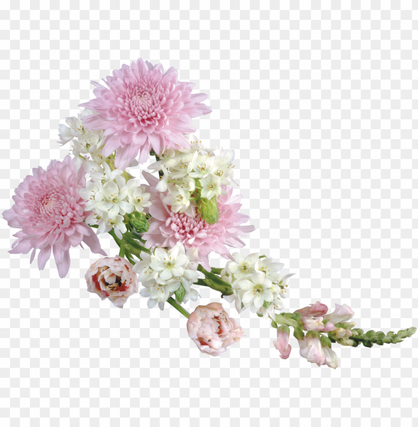 background, flower, symbol, plants, photo, spring, set