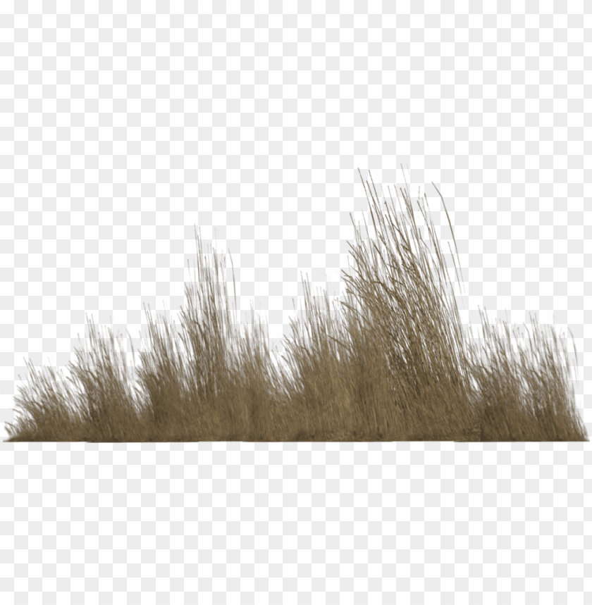 Block Of Grass From The Game Minecraft - Minecraft Grass Block Vector PNG  Transparent With Clear Background ID 165443 png - Free PNG Images