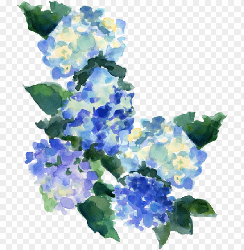 transparent transparent blog tumblr transparent transparent blue watercolor flowers transparent PNG transparent with Clear Background ID 165183