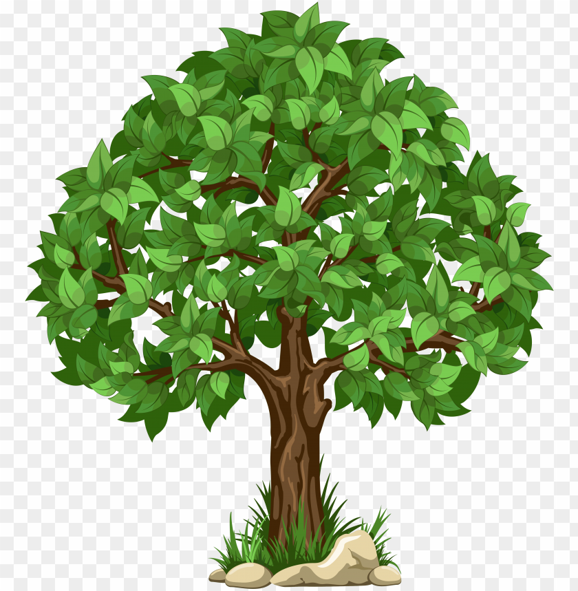 Transparent Tree Png Clipart Picture - Transparent Background Tree Clipart PNG Transparent With Clear Background ID 185779