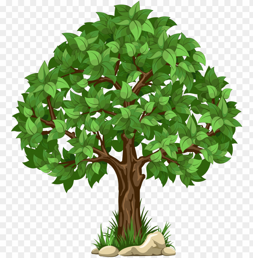 tree, green leaves, nature, wood, trunk, foliage, garden