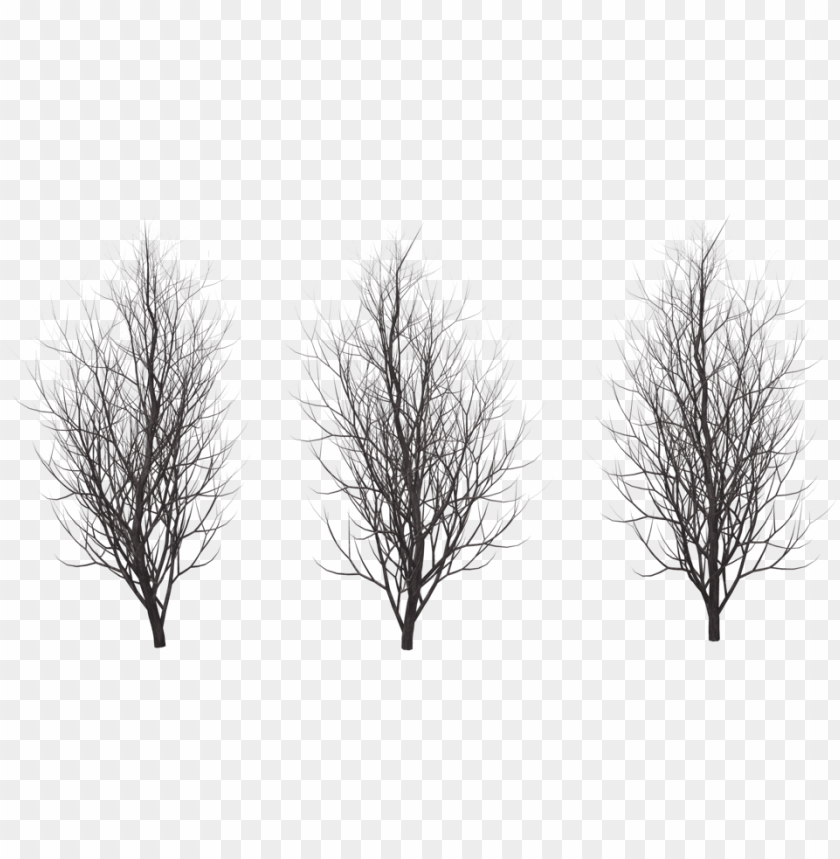 free PNG transparent trees winter - winter tree silhouette PNG image with transparent background PNG images transparent