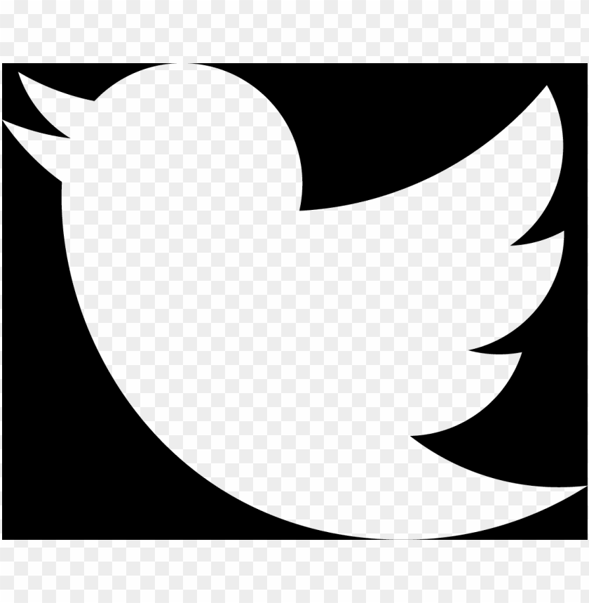 transparent twitter logo white PNG transparent with Clear Background ID 79843