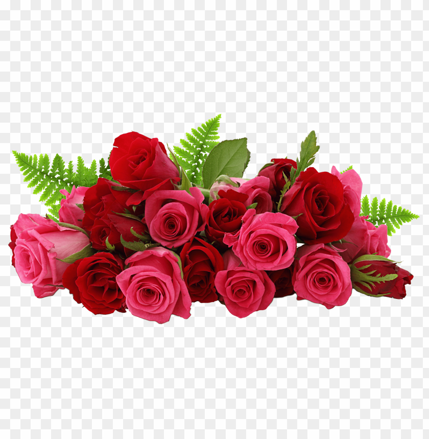 transparent valentine flowers, valentine,flowers,flower,transparent,valentineflowers,valentineflower