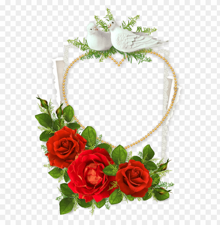 transparent valentine flowers, valentineflowers,flowers,valentine,valentineflower,flower,valentin