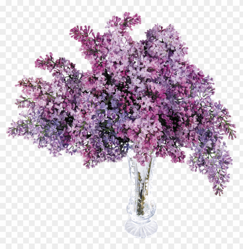 transparent vase with lilac
