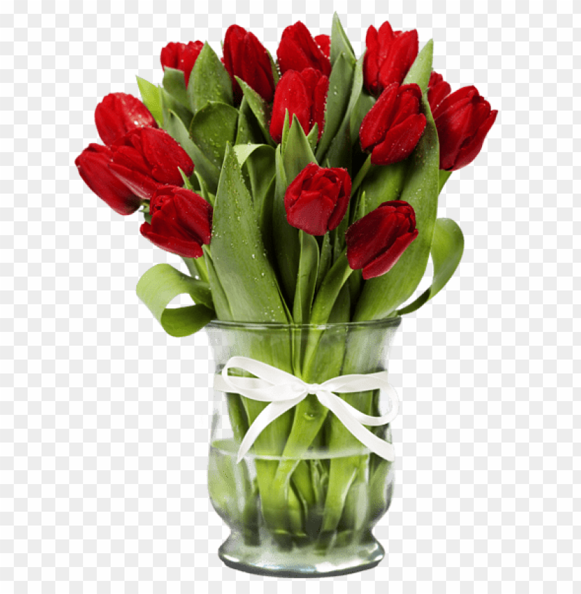 transparent vase with red tulips