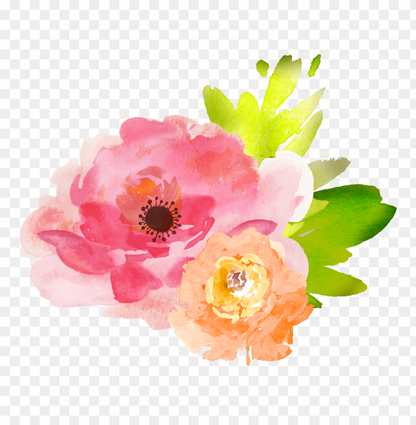 Transparent Watercolor Flowers PNG Transparent With Clear Background ID  113959 png - Free PNG Images