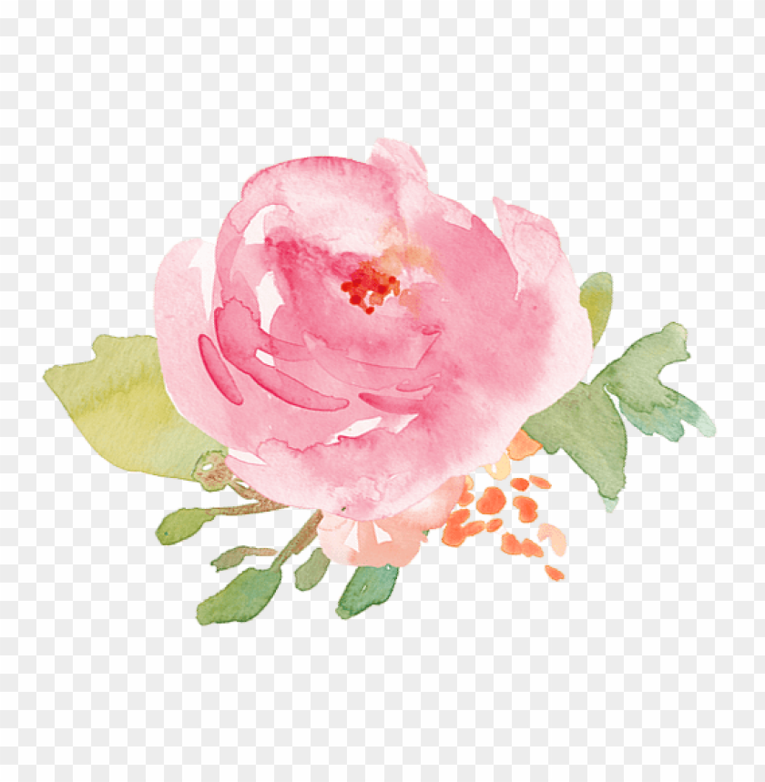 35+ Latest Aesthetic Transparent Watercolor Pink Flowers Png