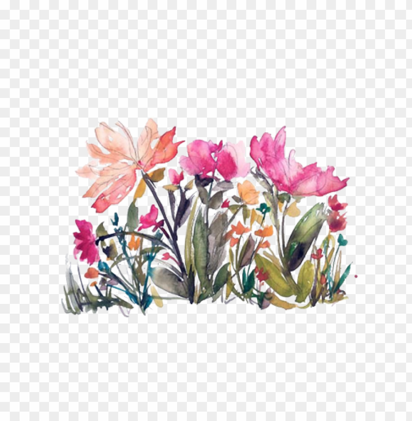 transparent watercolor flowers PNG transparent with Clear Background ID 114009