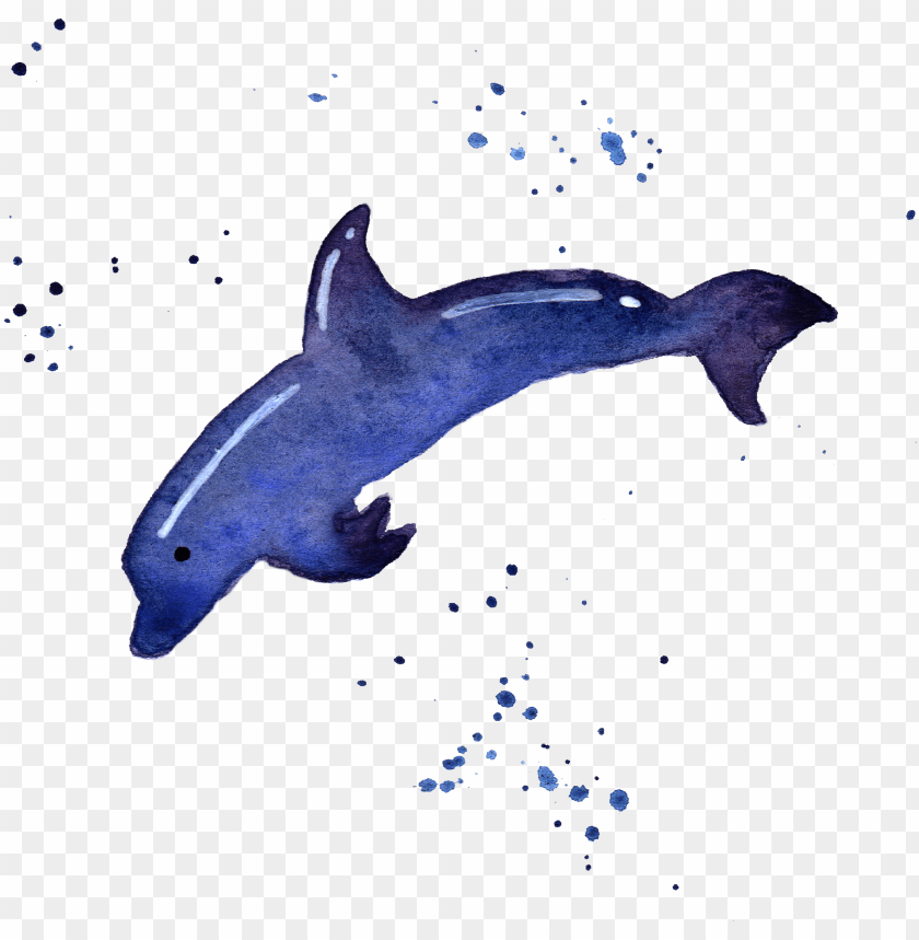 transparent whale watercolor png download - watercolor sea animals  transparent PNG image with transparent background | TOPpng