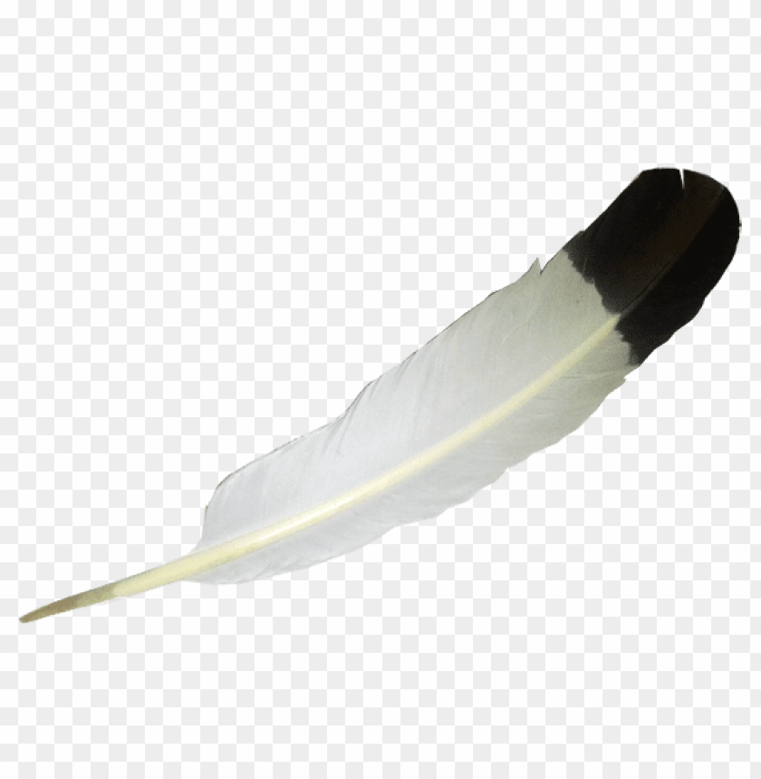 transparent, white, balck, feather, png, image
