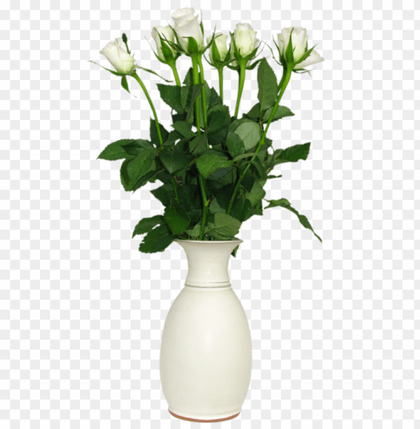 transparent white rose in vase picture