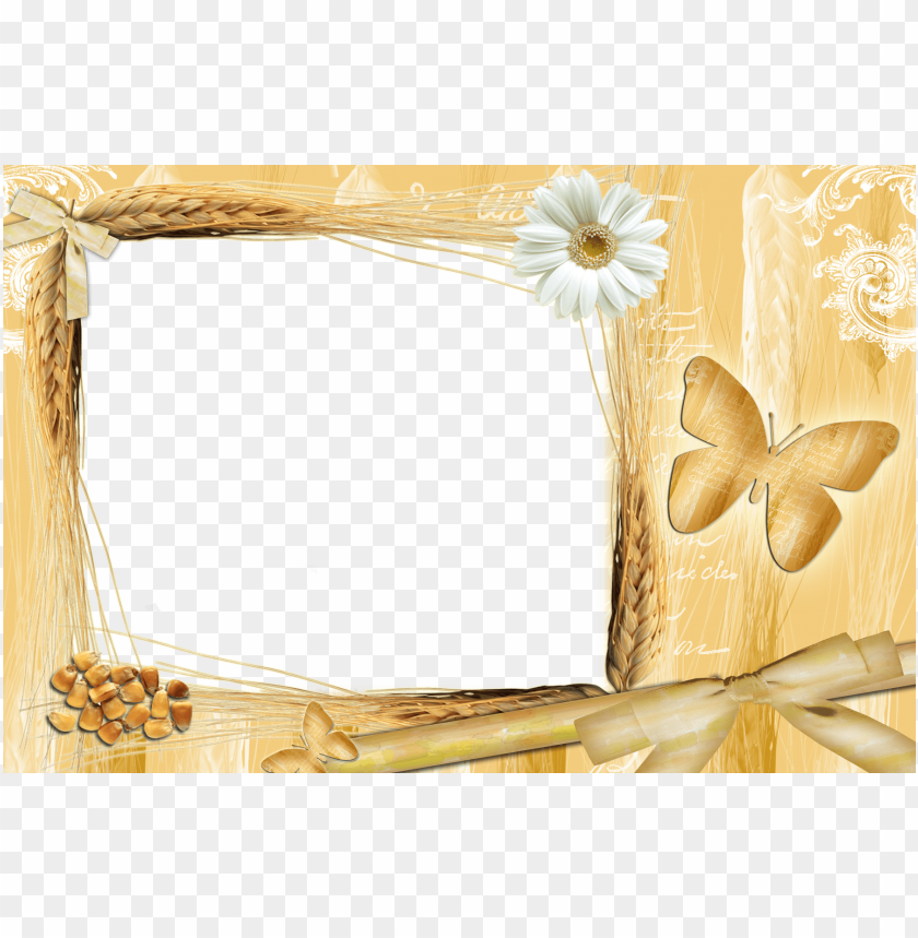 transparent yellow frame with daisy background best stock photos - Image ID 57537